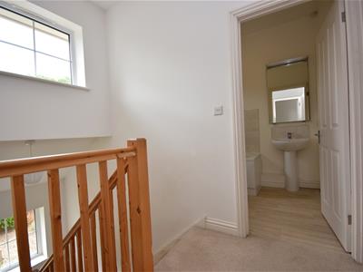 Picture 13